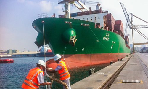 Container Vessel Handling Jebel Ali